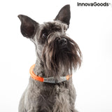 LED-Halsband für Haustiere Petlux InnovaGoods