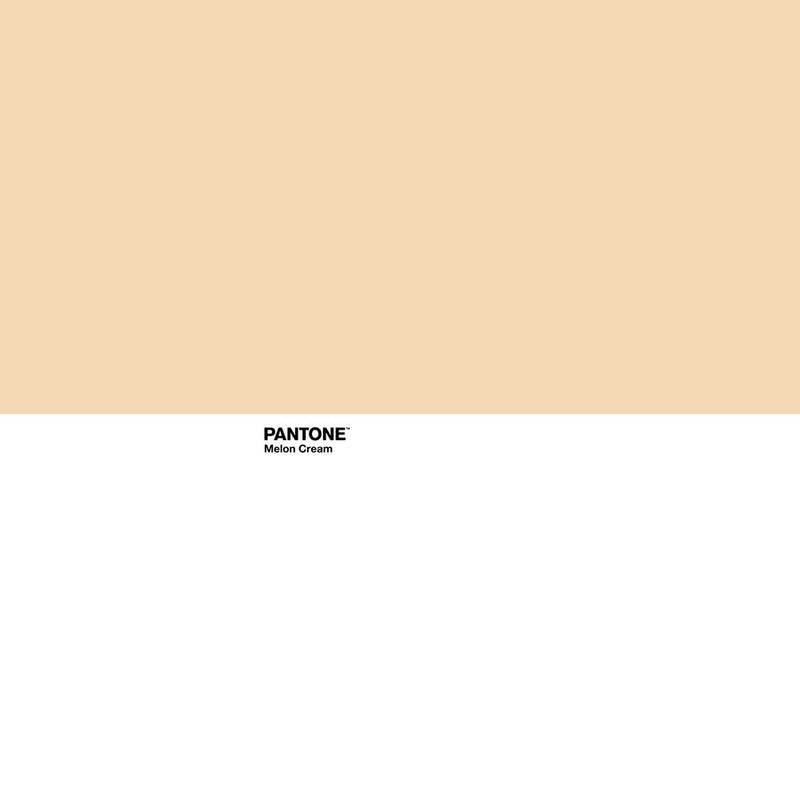 Copripiumino Pantone Melon Cream (Letto da 135) (220 x 220 cm) - zannishop