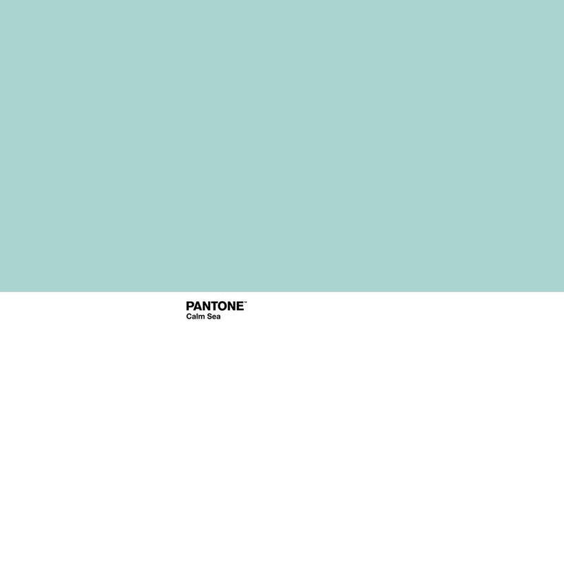 Lenzuolo Superiore Pantone Calm Sea (Letto da 135)