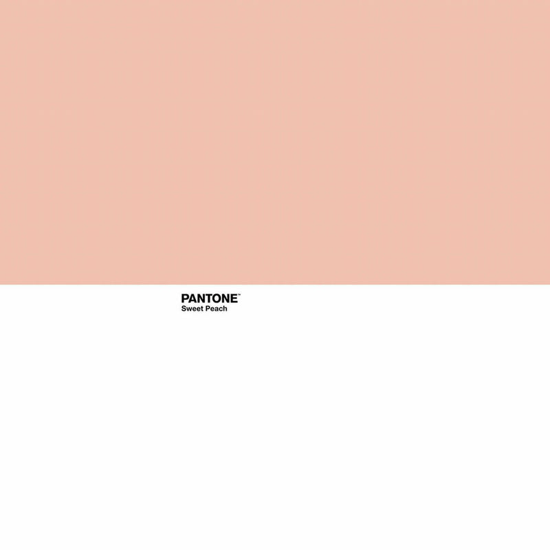 Copripiumino Pantone Sweet Peach (Letto da 150) (240 x 220 cm) - zannishop