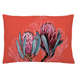 Fodera per cuscino Naturals Proteas (50 x 30 cm) - zannishop