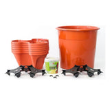 Kit de Jardín Vertical Irisana Terracota Ecogarden Plástico Terracota (45 x 45 cm)