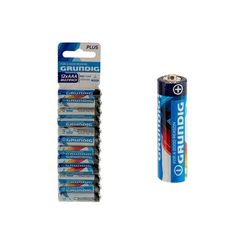 Grundig AAA R3 -Batterien (12 PCs)