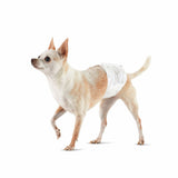 Nappies Dog (Size XS) (Refurbished D)