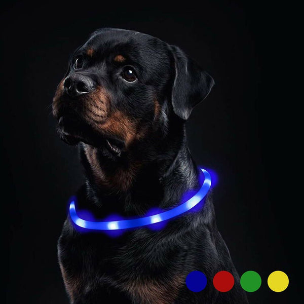 Collier LED Light Dog (reconditionné a)