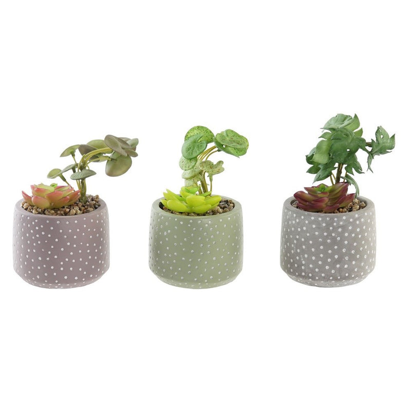 Pianta Decorativa DKD Home Decor Rosa Cemento Polietilene Verde (10 x 10 x 8 cm) (3 pcs) - zannishop