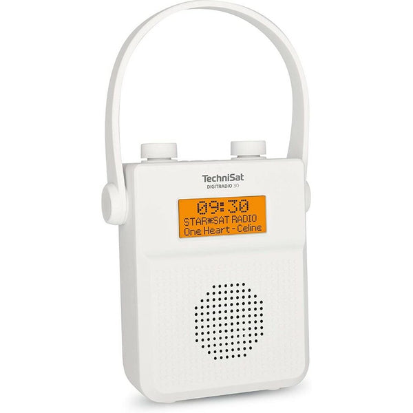 Radio Portatile TechniSat DIGITRADIO 30 (Ricondizionati A+)