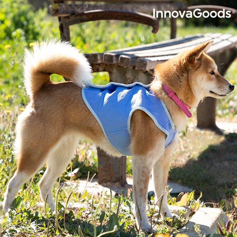 Gilet Rinfrescante per Animali Domestici Piccoli InnovaGoods - S