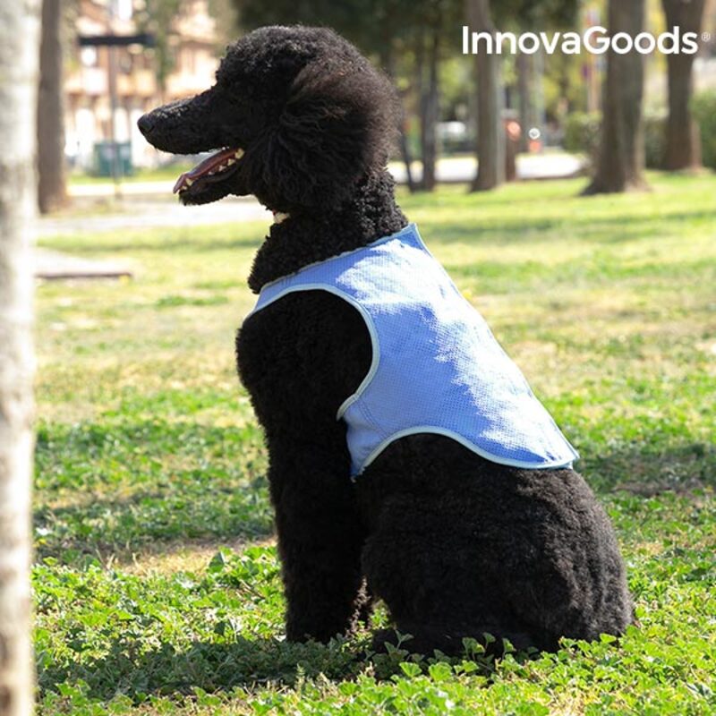 Gilet Rinfrescante per Animali Domestici Medi InnovaGoods - M