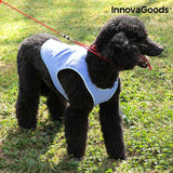 Gilet Rinfrescante per Animali Domestici Medi InnovaGoods - M