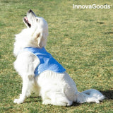 Gilet Rinfrescante per Animali Domestici Grandi InnovaGoods - L