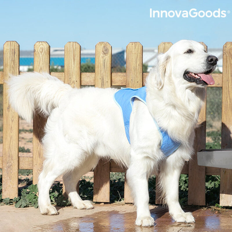 Gilet Rinfrescante per Animali Domestici Grandi InnovaGoods - L