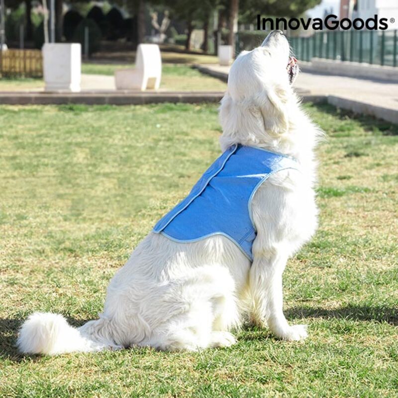 Gilet Rinfrescante per Animali Domestici Grandi InnovaGoods - L