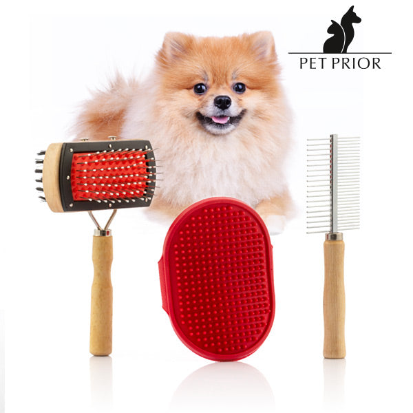 Set di Spazzole per Cani Collection Pet Prior (3 Pezzi)